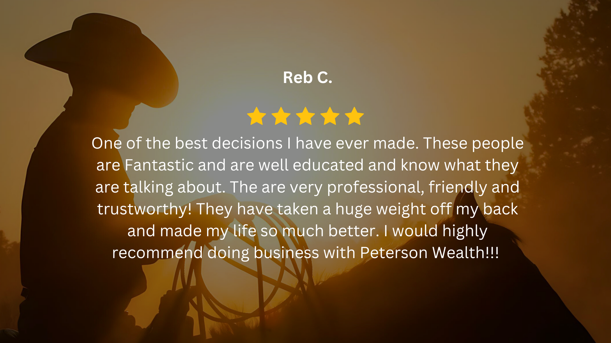 Peterson Wealth Reviews